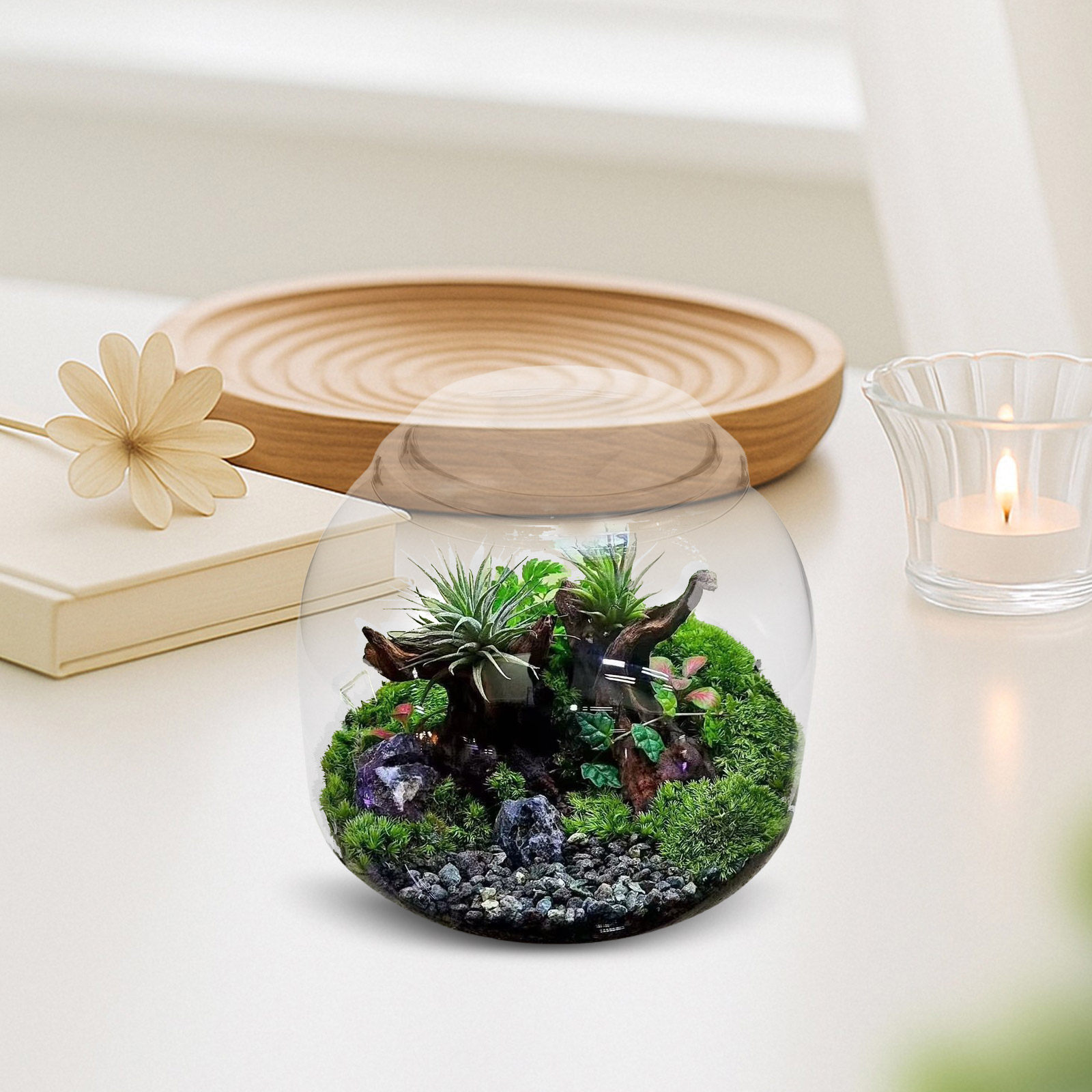 Terrarium Glass Bottle - Kapaklı Cam Teraryum Kavanozu Şeffaf Mikro