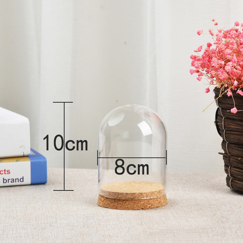 Terrarium Glass Bottle - Cam kubbe kapak için çiçek etli