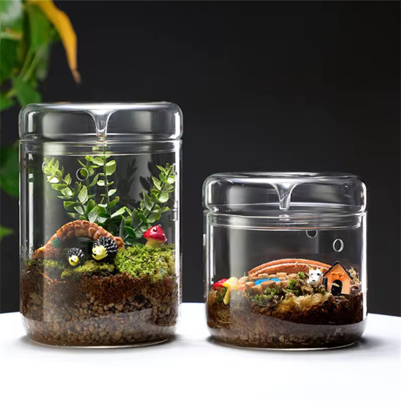 Terrarium Glass Bottle - Cam Şişeler Yaratıcılık Çiğ Koleksiyonu Cam