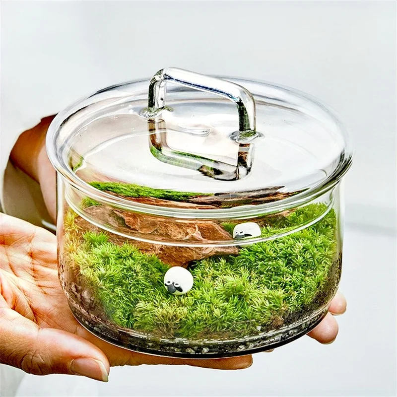 Terrarium Glass Bottle - Mikro Peyzaj Yosun Bitkiler Cam Kapaklı
