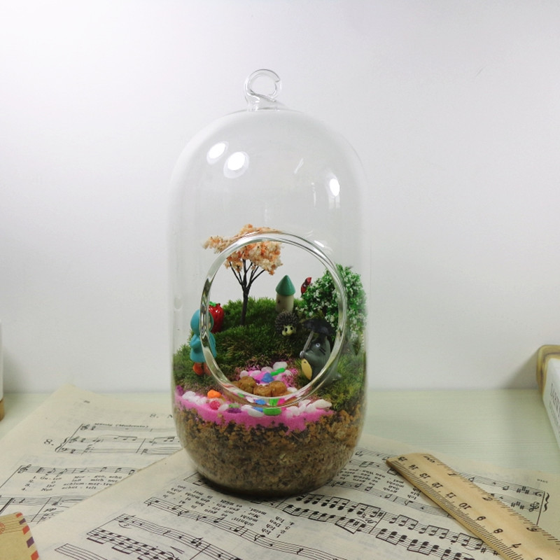 2 adet/paket 10*20 cm Büyük Bo - Terrarium Glass Bottle incelemesi ve fiyatı