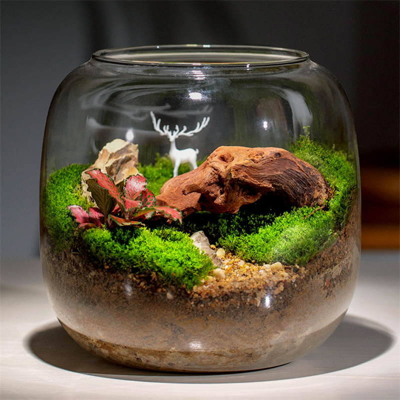 Mikro Peyzaj Yosun Cam Şişe Su - Terrarium Glass Bottle incelemesi ve fiyatı