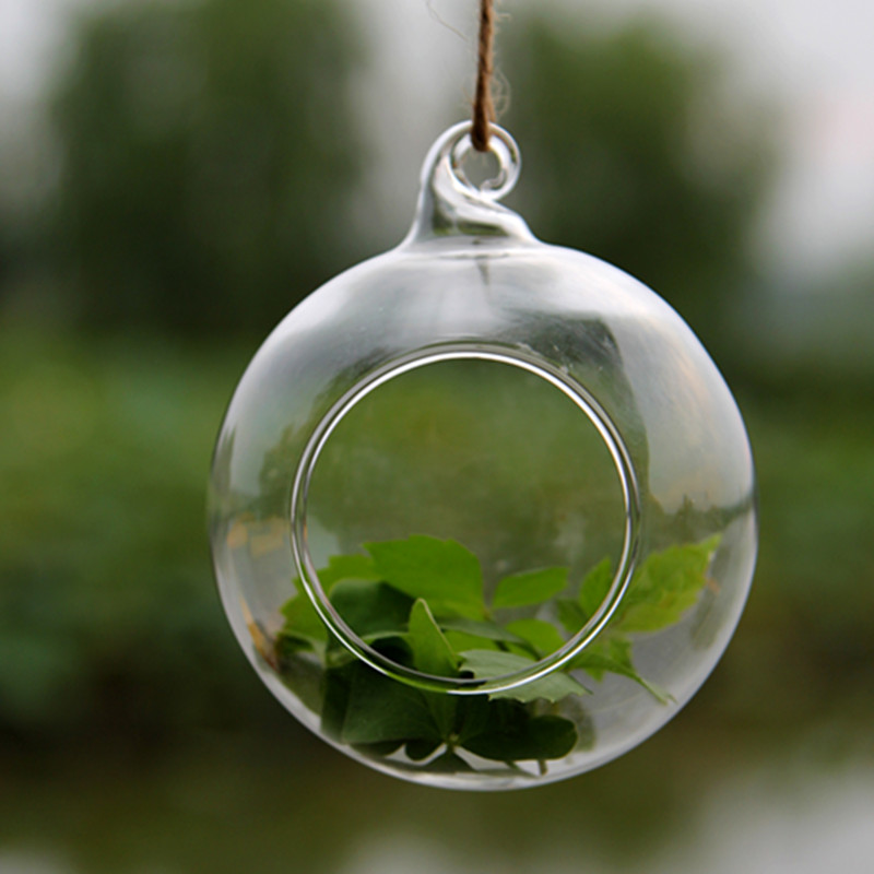100 adet/paket Çap = 8 cm Küçü - Terrarium Glass Bottle incelemesi ve fiyatı