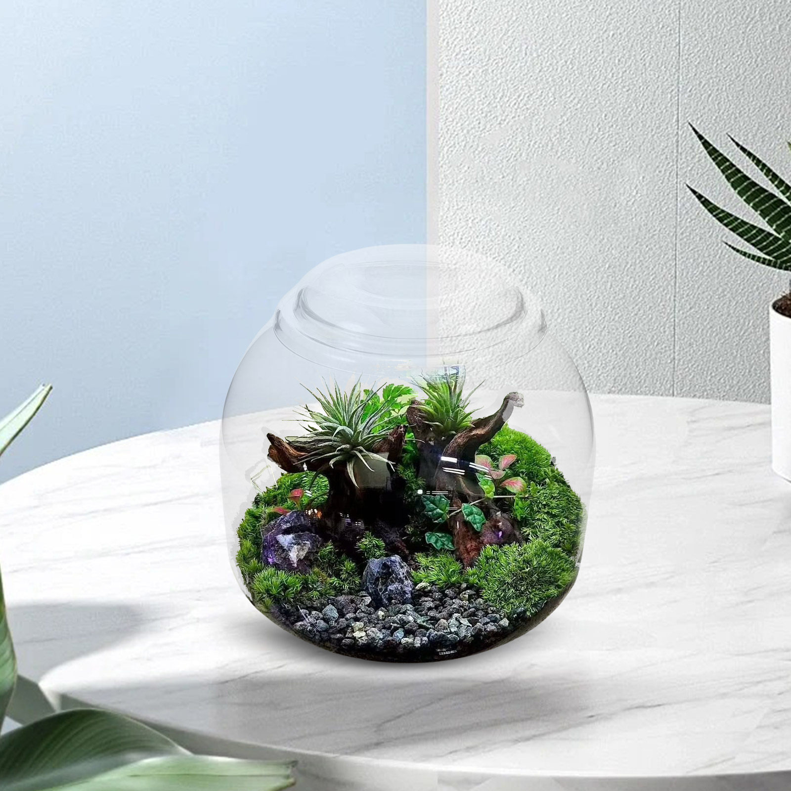 Kapaklı Cam Teraryum Kavanozu  - Terrarium Glass Bottle incelemesi ve fiyatı