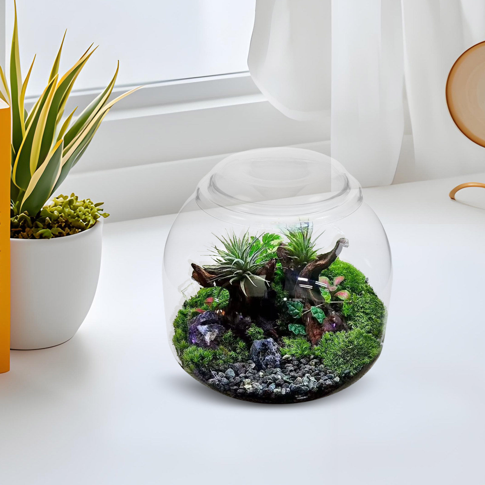 Kapaklı Cam Teraryum Kavanozu  - Terrarium Glass Bottle incelemesi ve fiyatı