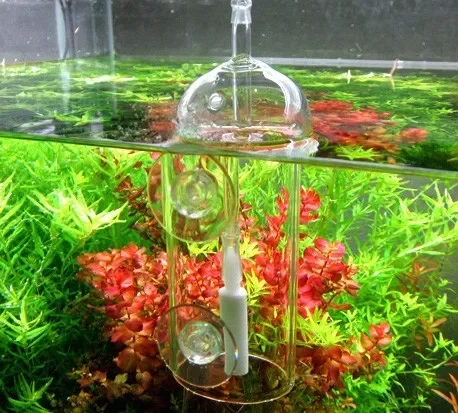 VIV Yapma Cihazı Akvaryum Sili - Terrarium Glass Bottle incelemesi ve fiyatı