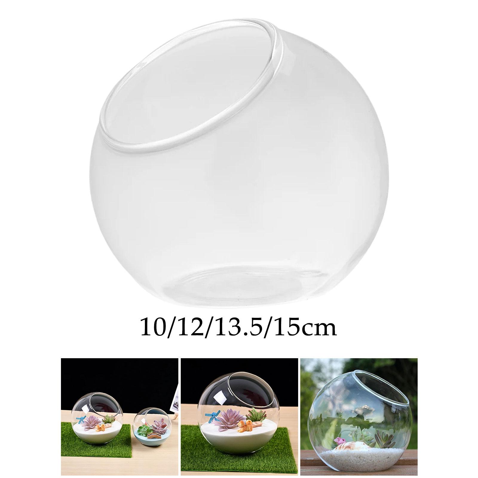 Teraryum cam vazo benzersiz Ce - Terrarium Glass Bottle incelemesi ve fiyatı