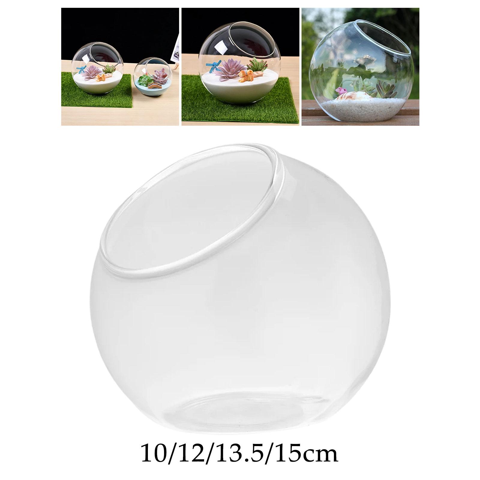 Teraryum cam vazo benzersiz Ce - Terrarium Glass Bottle incelemesi ve fiyatı