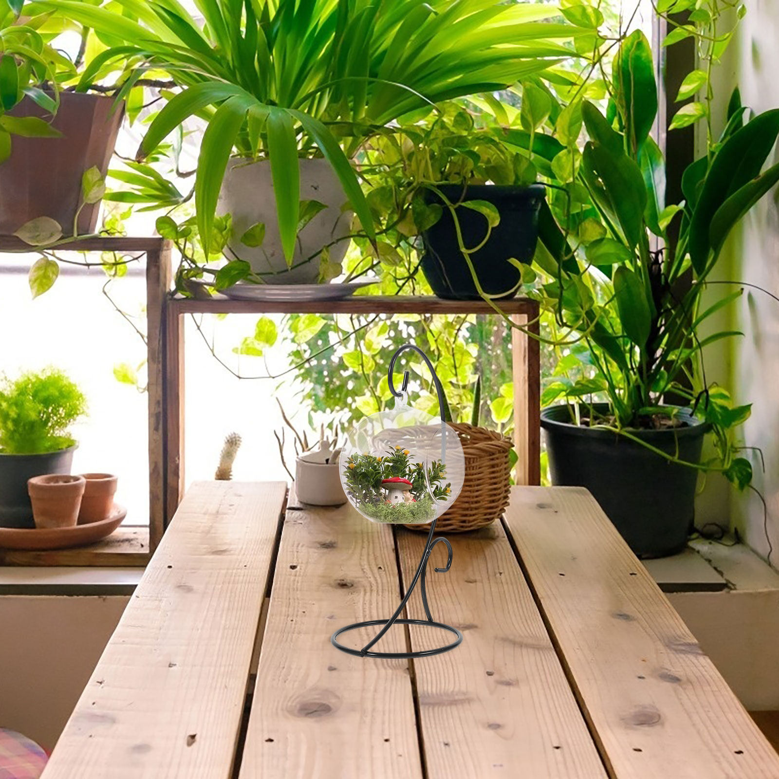 2 adet demir asılı süs ekran s - Terrarium Glass Bottle incelemesi ve fiyatı
