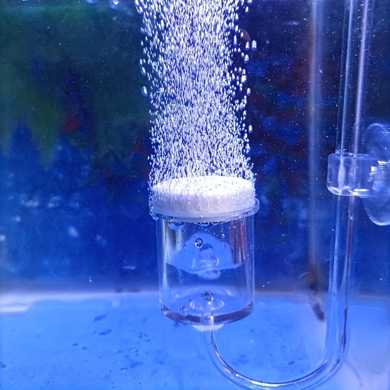 Akvaryum Cam CO2 Atomizer Difü - Terrarium Glass Bottle incelemesi ve fiyatı