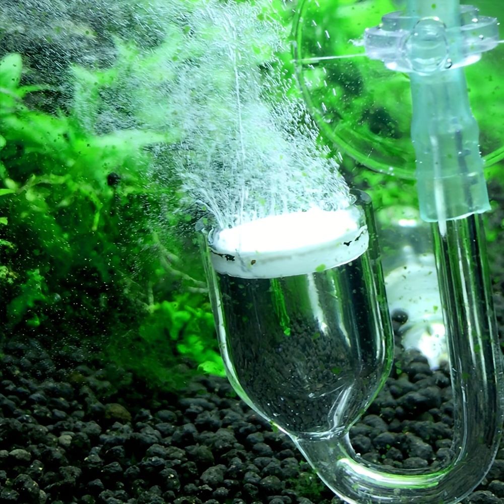 Akvaryum Cam CO2 Atomizer Difü - Terrarium Glass Bottle incelemesi ve fiyatı