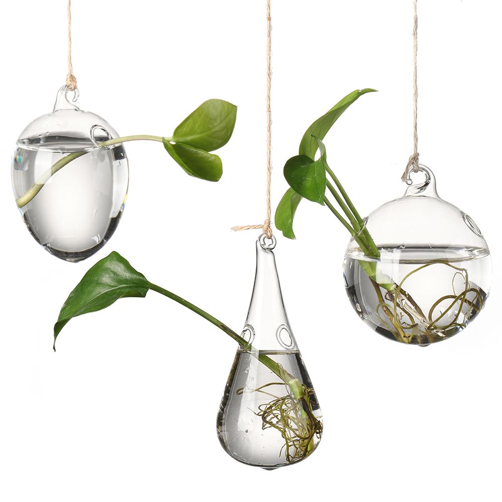 Yaratıcı asılı cam vazo hidrop - Terrarium Glass Bottle incelemesi ve fiyatı