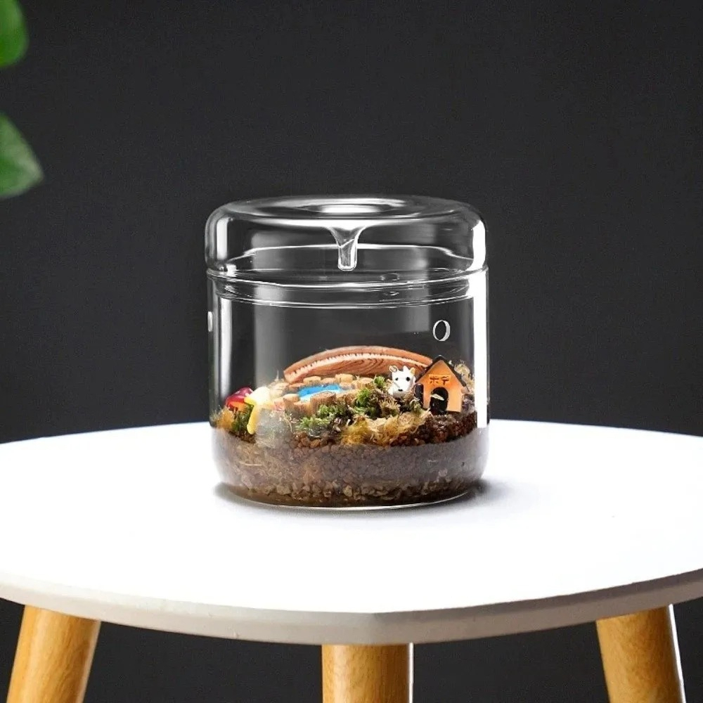 Mikro Peyzaj Cam Vazo, Çiy Top - Terrarium Glass Bottle incelemesi ve fiyatı