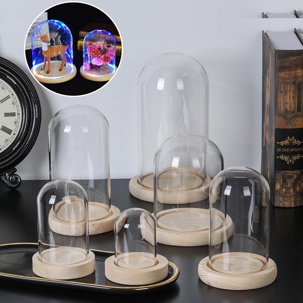 Cam Cloche kavanoz ekran stand - Terrarium Glass Bottle incelemesi ve fiyatı