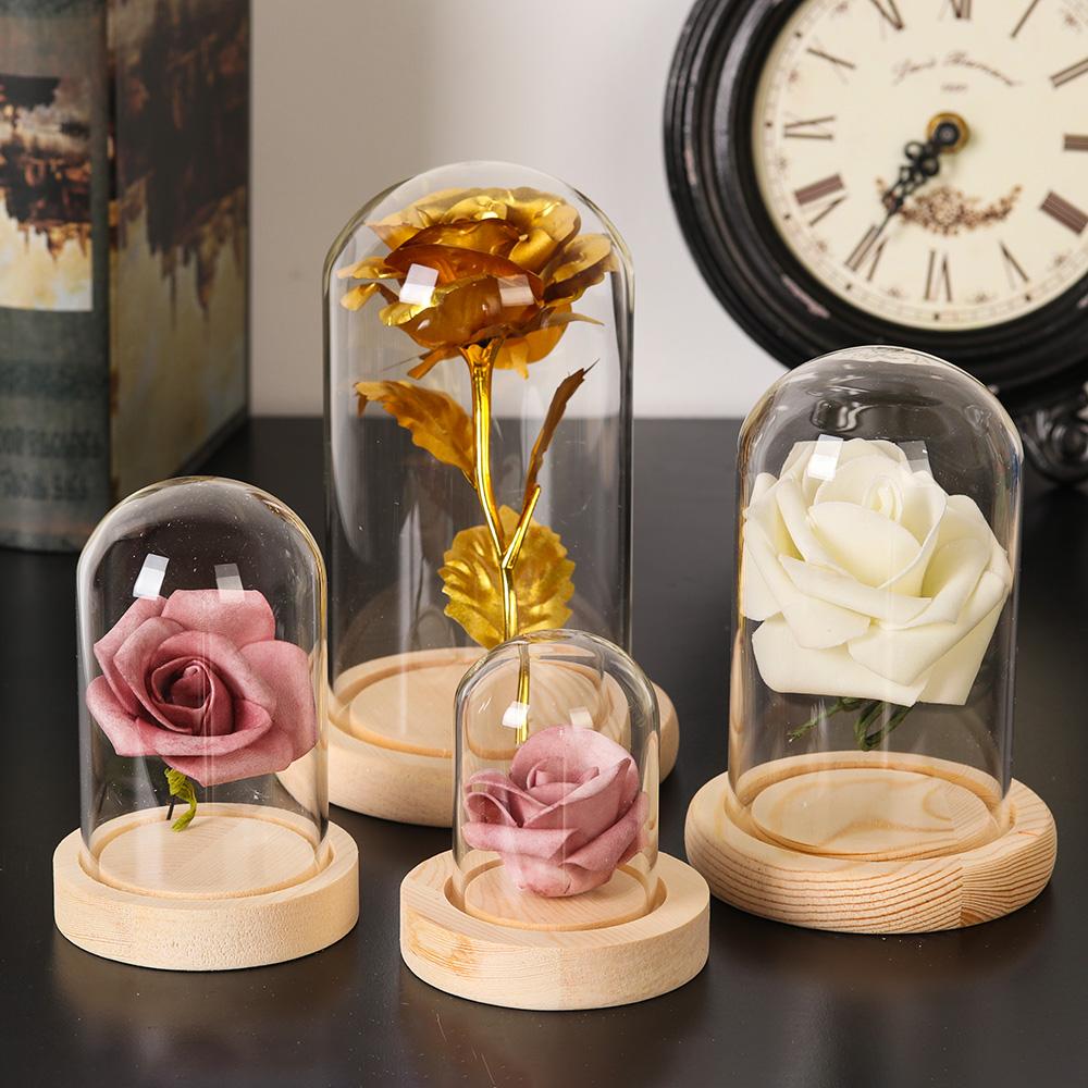 Cam Cloche kavanoz ekran stand - Terrarium Glass Bottle incelemesi ve fiyatı