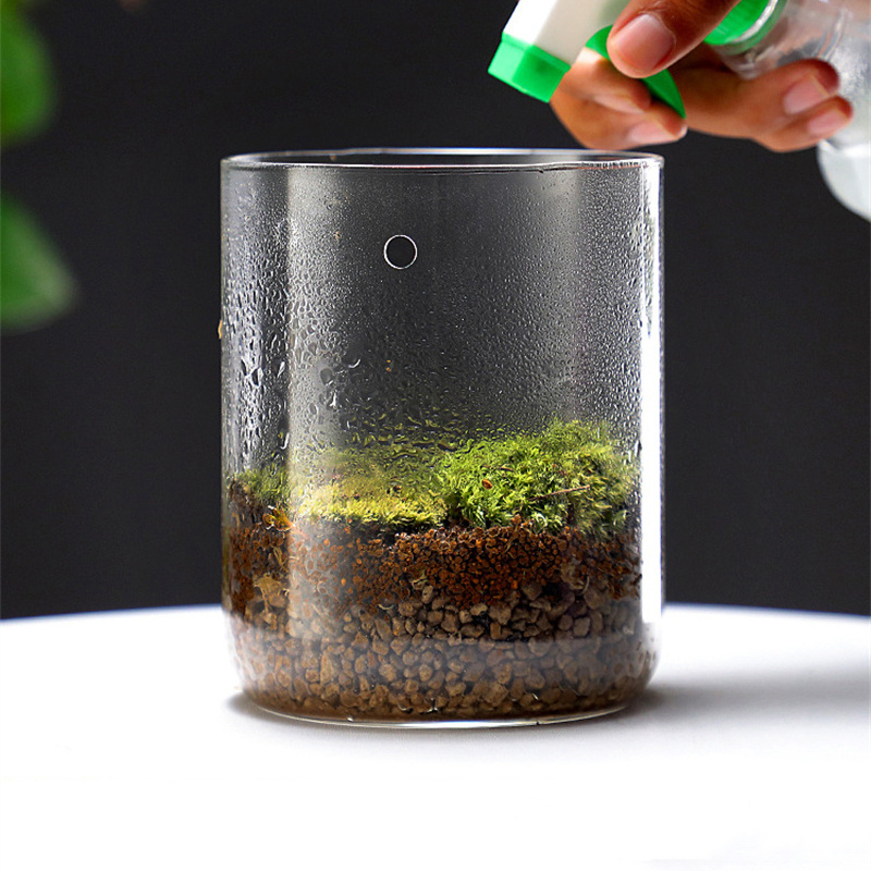 Cam Şişeler Yaratıcılık Çiğ Ko - Terrarium Glass Bottle incelemesi ve fiyatı