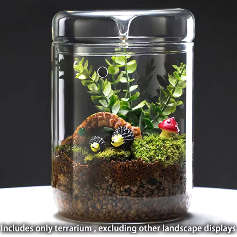 Cam Şişeler Yaratıcılık Çiğ Ko - Terrarium Glass Bottle incelemesi ve fiyatı