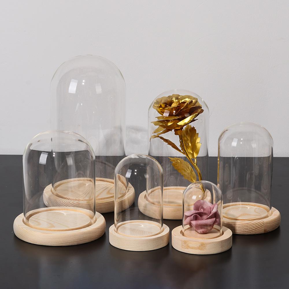 Cam Cloche Kavanoz Ekran Stand - Terrarium Glass Bottle incelemesi ve fiyatı