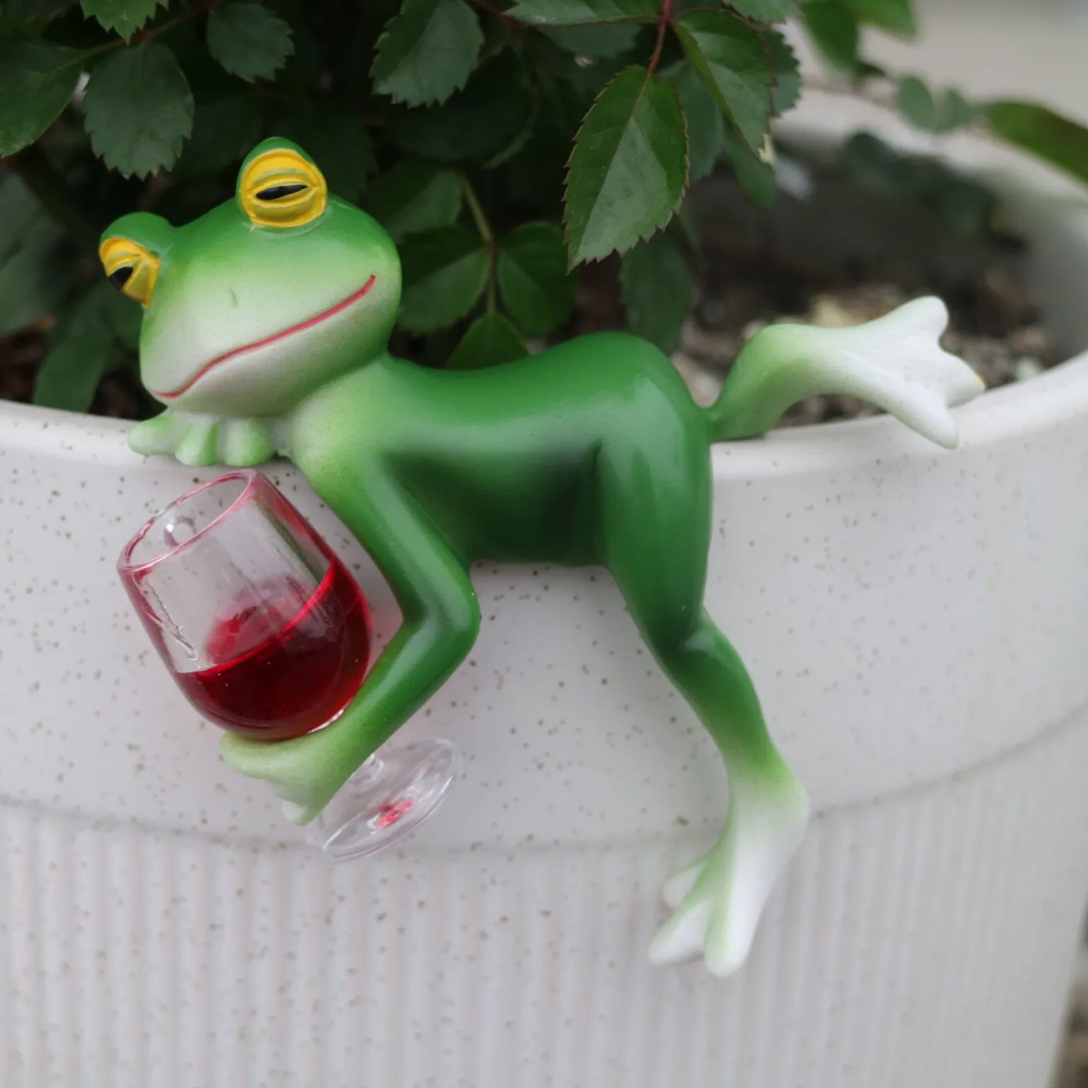 Sevimli bir yeşil kurbağa ve ş - Terrarium Glass Bottle incelemesi ve fiyatı